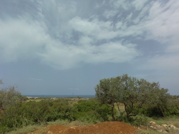 الصورة 1 من 1