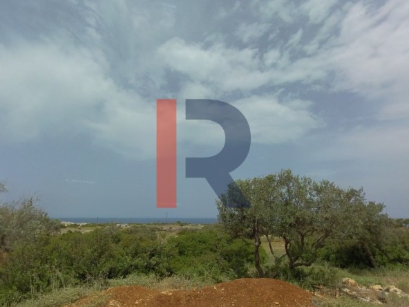 الصورة 1 من 1