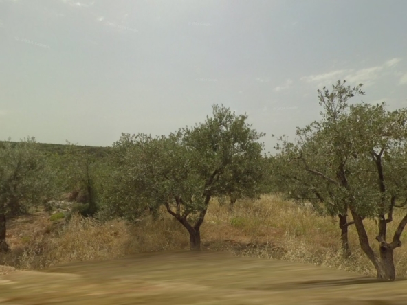 الصورة 1 من 2