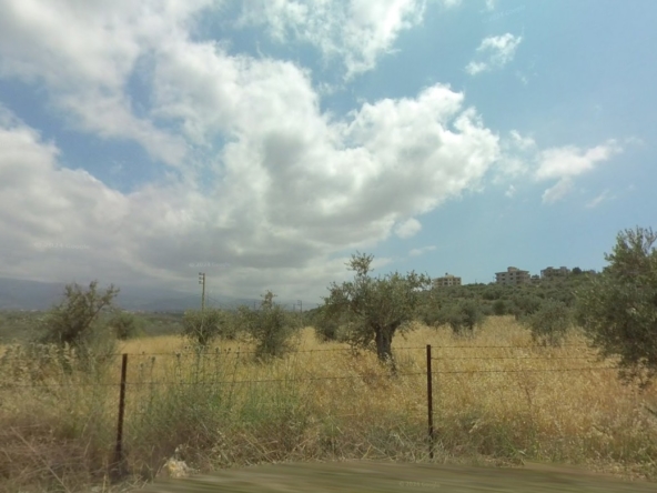 الصورة 1 من 2
