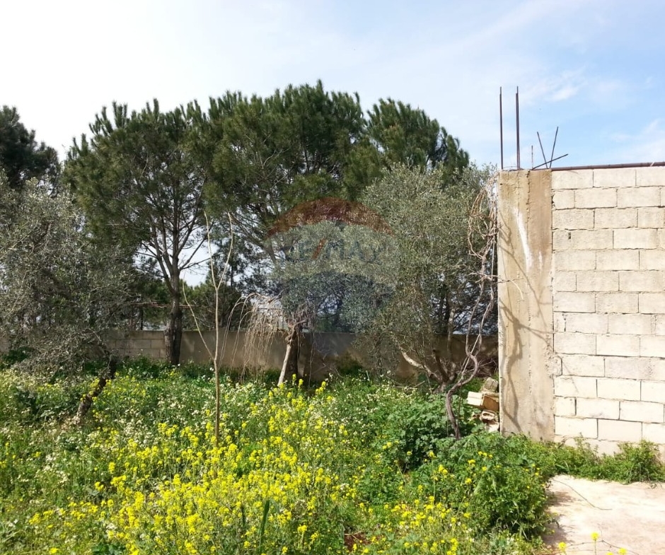 R9-613 Land for Sale in Qsair Akkar – 1,750 m²,Exclusive Price أرض للبيع في القصير عكار – 1,750 متر مربع، سعر حصري — Photo 10 of 13