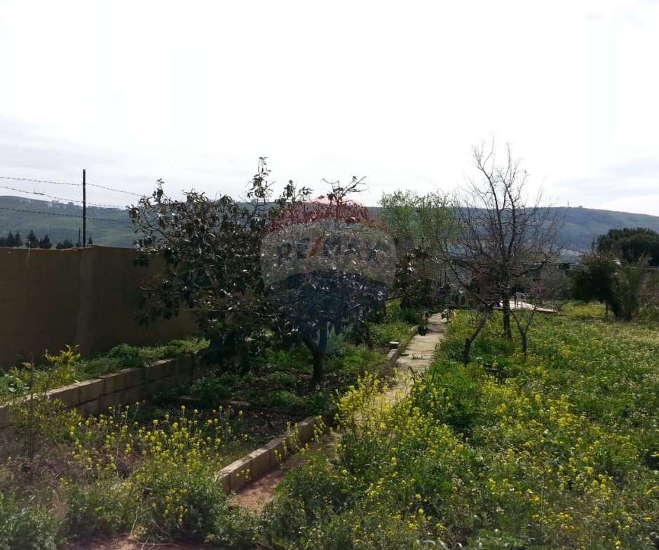 R9-613 Land for Sale in Qsair Akkar – 1,750 m²,Exclusive Price أرض للبيع في القصير عكار – 1,750 متر مربع، سعر حصري — Photo 13 of 13
