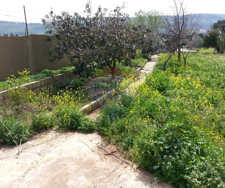 R9-613 Land for Sale in Qsair Akkar – 1,750 m²,Exclusive Price أرض للبيع في القصير عكار – 1,750 متر مربع، سعر حصري — Photo 2 of 13