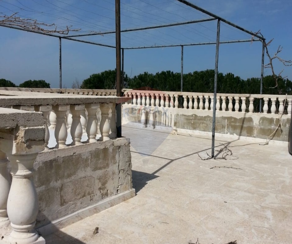 R9-613 Land for Sale in Qsair Akkar – 1,750 m²,Exclusive Price أرض للبيع في القصير عكار – 1,750 متر مربع، سعر حصري — Photo 8 of 13