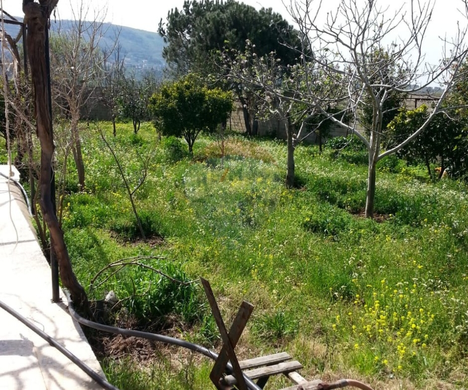 R9-613 Land for Sale in Qsair Akkar – 1,750 m²,Exclusive Price أرض للبيع في القصير عكار – 1,750 متر مربع، سعر حصري — Photo 9 of 13