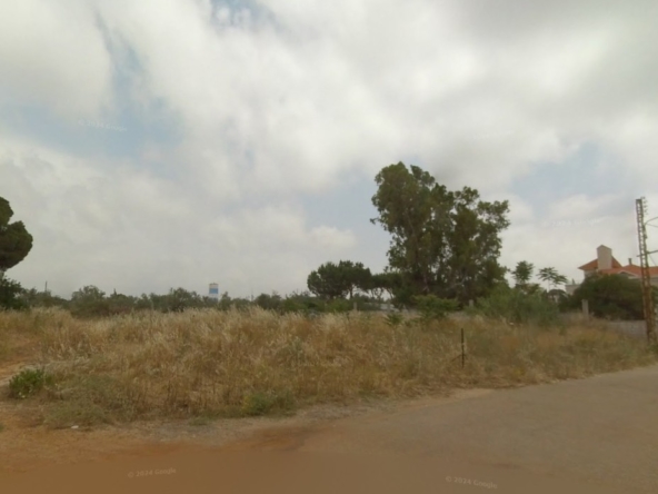الصورة 1 من 2