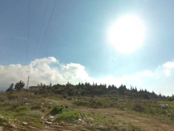 الصورة 1 من 1