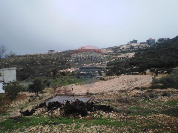 الصورة 1 من 5