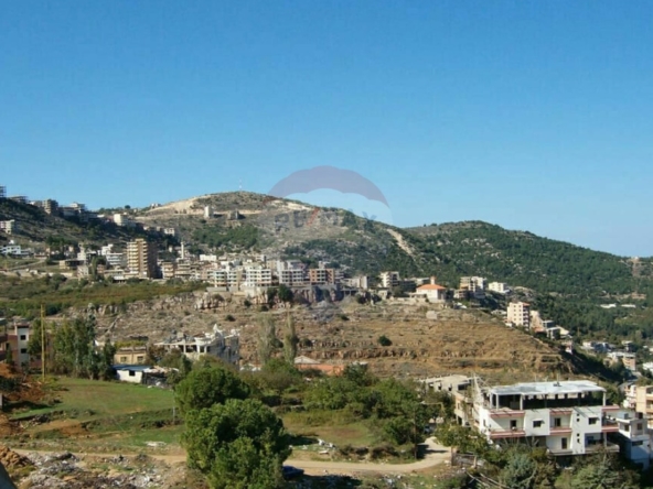 الصورة 1 من 3