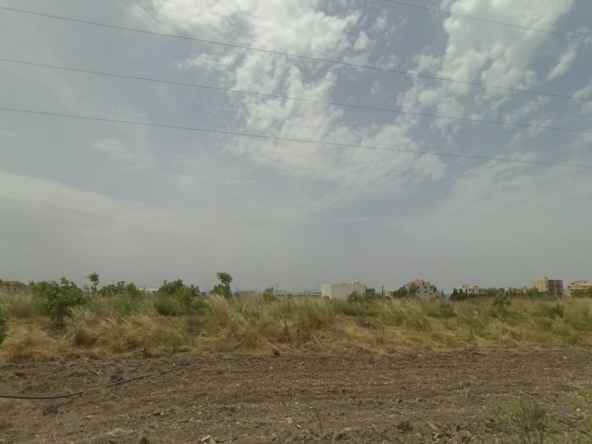 الصورة 1 من 1