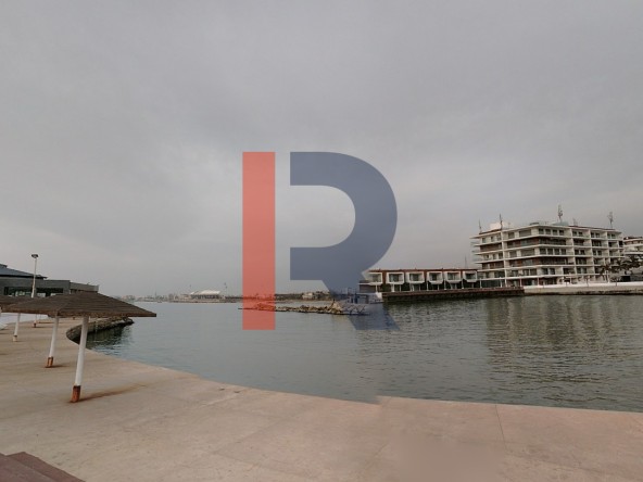 الصورة 1 من 1