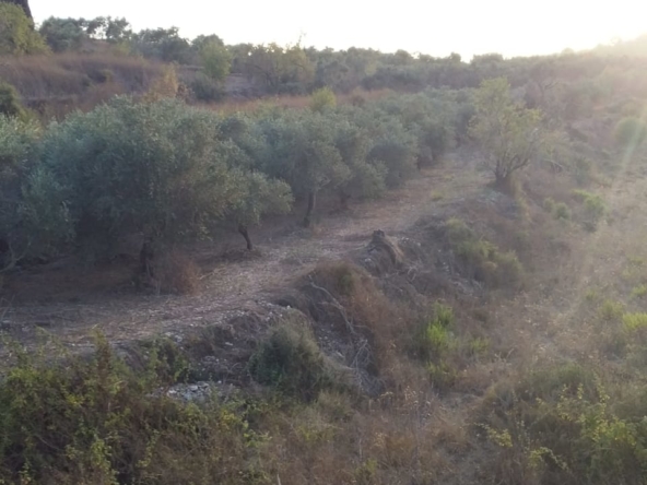 R9-198 Land 14,520 sqm, for Sale in Kantra, Akkar — الصورة 2 من 12