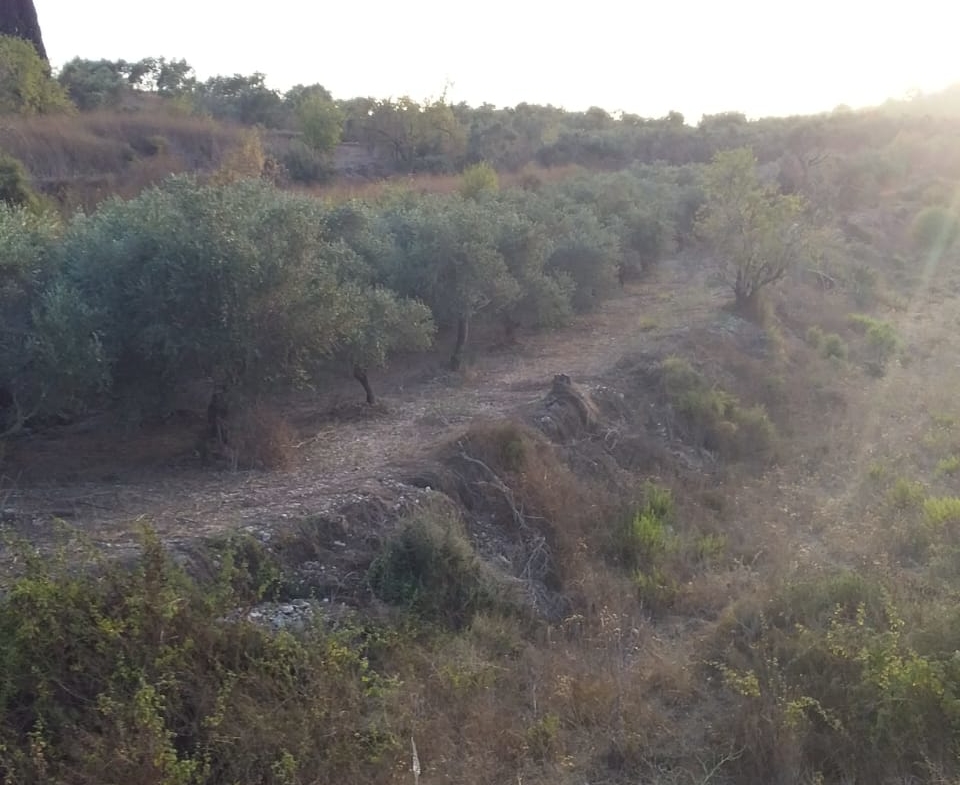 R9-198 Land 14,520 sqm, for Sale in Kantra, Akkar — الصورة 2 من 12