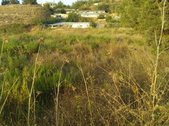 R9-198 Land 14,520 sqm, for Sale in Kantra, Akkar — الصورة 3 من 12