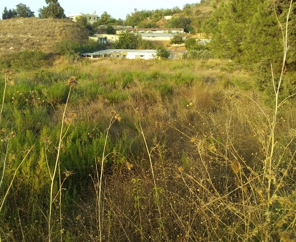 R9-198 Land 14,520 sqm, for Sale in Kantra, Akkar — الصورة 3 من 12