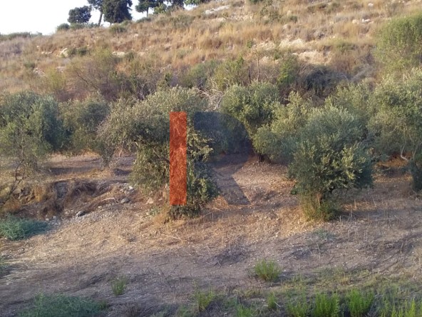 R9-198 Land 14,520 sqm, for Sale in Kantra, Akkar — الصورة 5 من 12