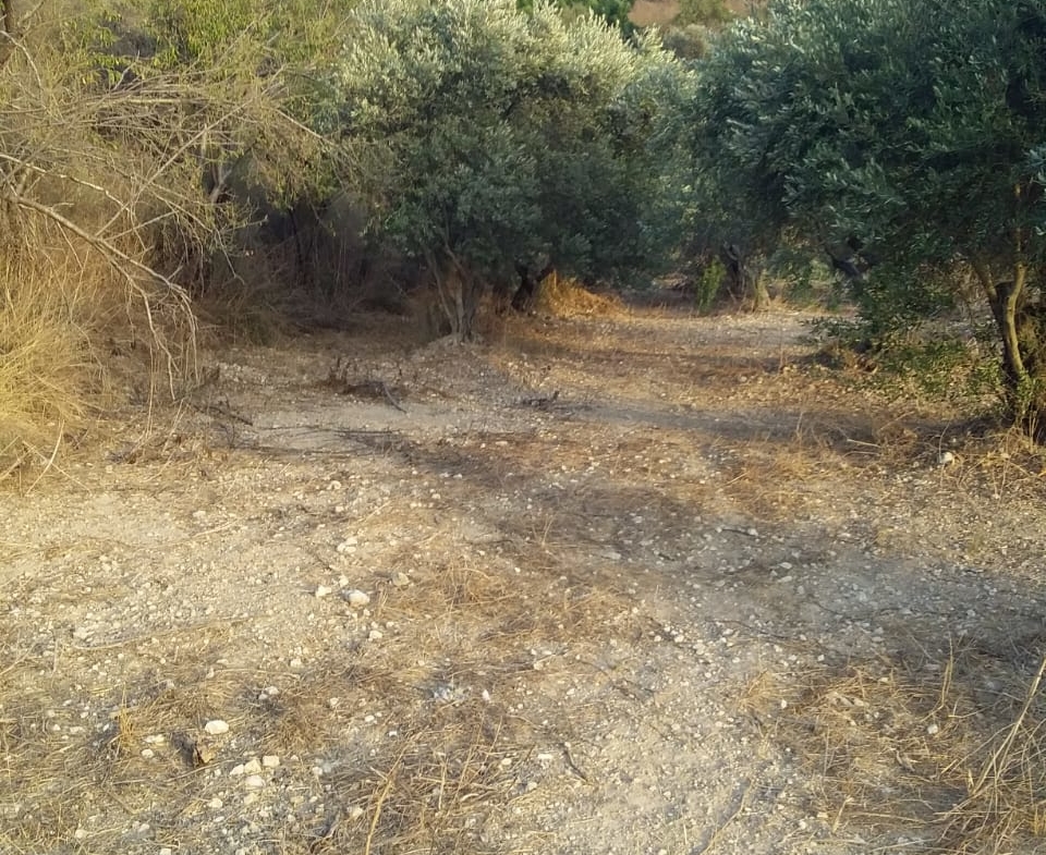 R9-198 Land 14,520 sqm, for Sale in Kantra, Akkar — الصورة 7 من 12