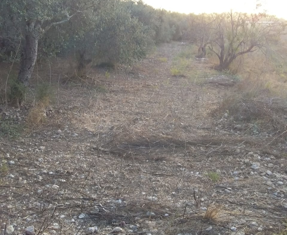 R9-198 Land 14,520 sqm, for Sale in Kantra, Akkar — الصورة 10 من 12