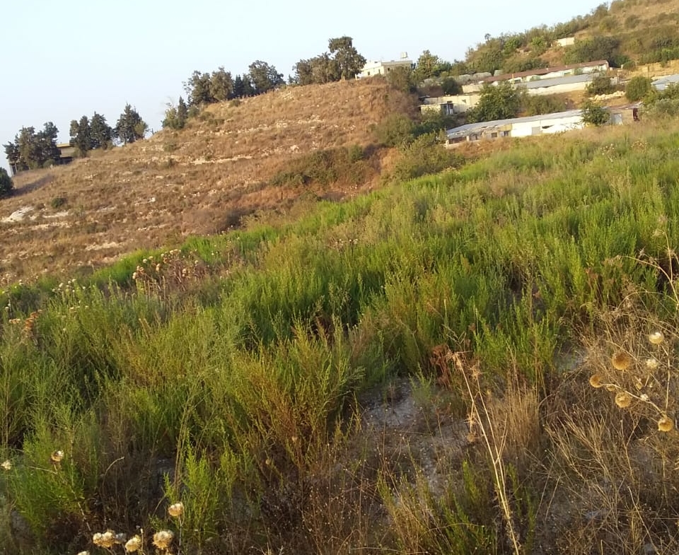 R9-198 Land 14,520 sqm, for Sale in Kantra, Akkar — الصورة 12 من 12
