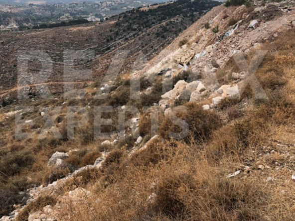 R9-251 Land for sale in Al Koura, North Lebanon. — الصورة 2 من 5