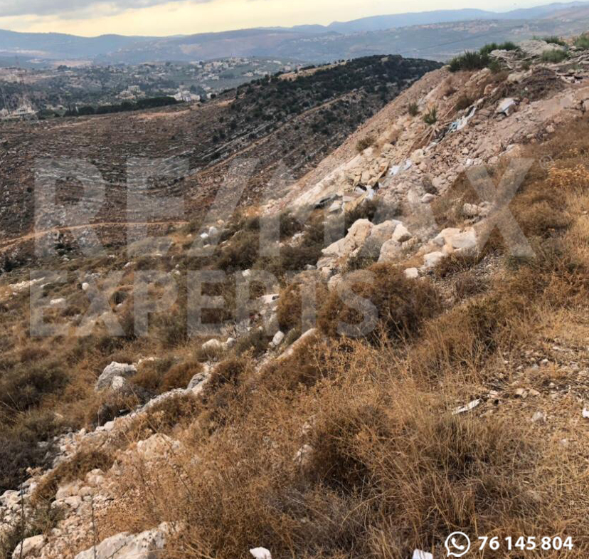 R9-251 Land for sale in Al Koura, North Lebanon. — الصورة 2 من 5