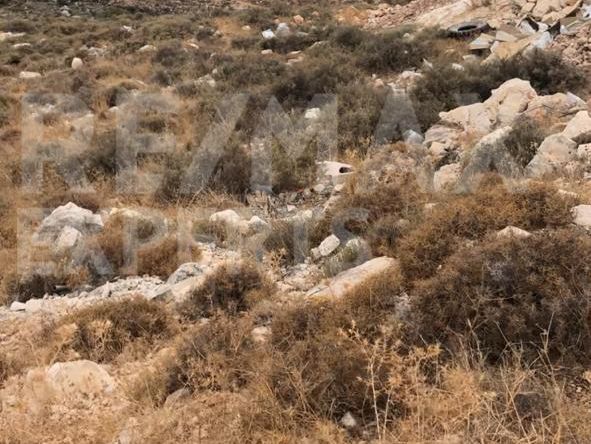 R9-251 Land for sale in Al Koura, North Lebanon. — الصورة 3 من 5