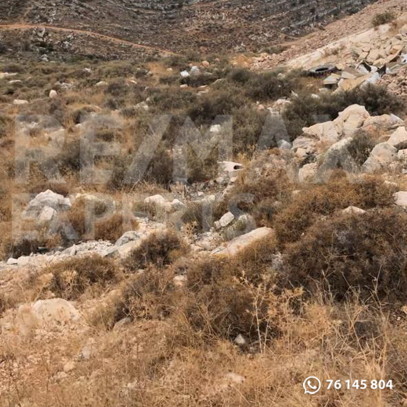 R9-251 Land for sale in Al Koura, North Lebanon. — الصورة 3 من 5