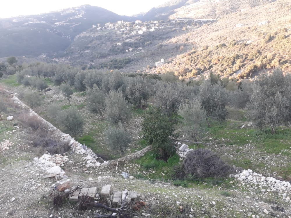 R9-205 Land for Sale in Aamchit, Mount Lebanon — الصورة 2 من 3