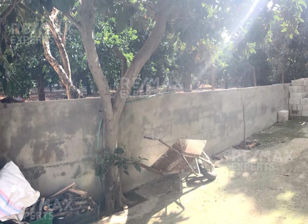 R9-232 Land with 2 built-up houses for sale in Zgharta — الصورة 5 من 5