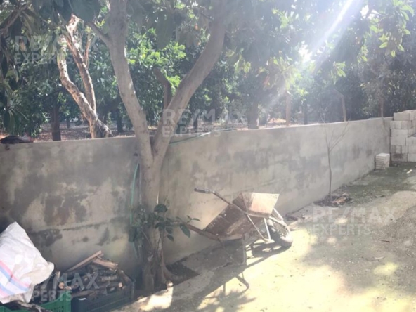 R9-232 Land with 2 built-up houses for sale in Zgharta — الصورة 5 من 5