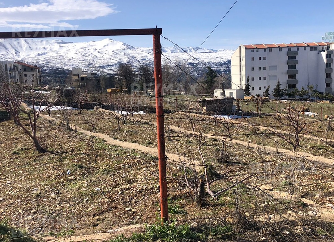 R9-311 Land for sale in Ehden! — Photo 2 of 7