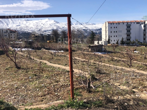 R9-311 Land for sale in Ehden! — Photo 2 of 7