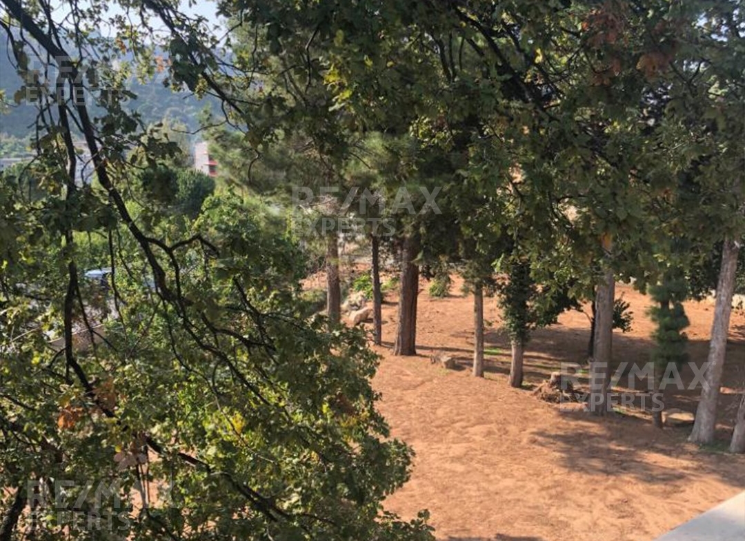 R9-138 Classic Lebanese house for sale in Dinniyeh — Photo 2 of 15