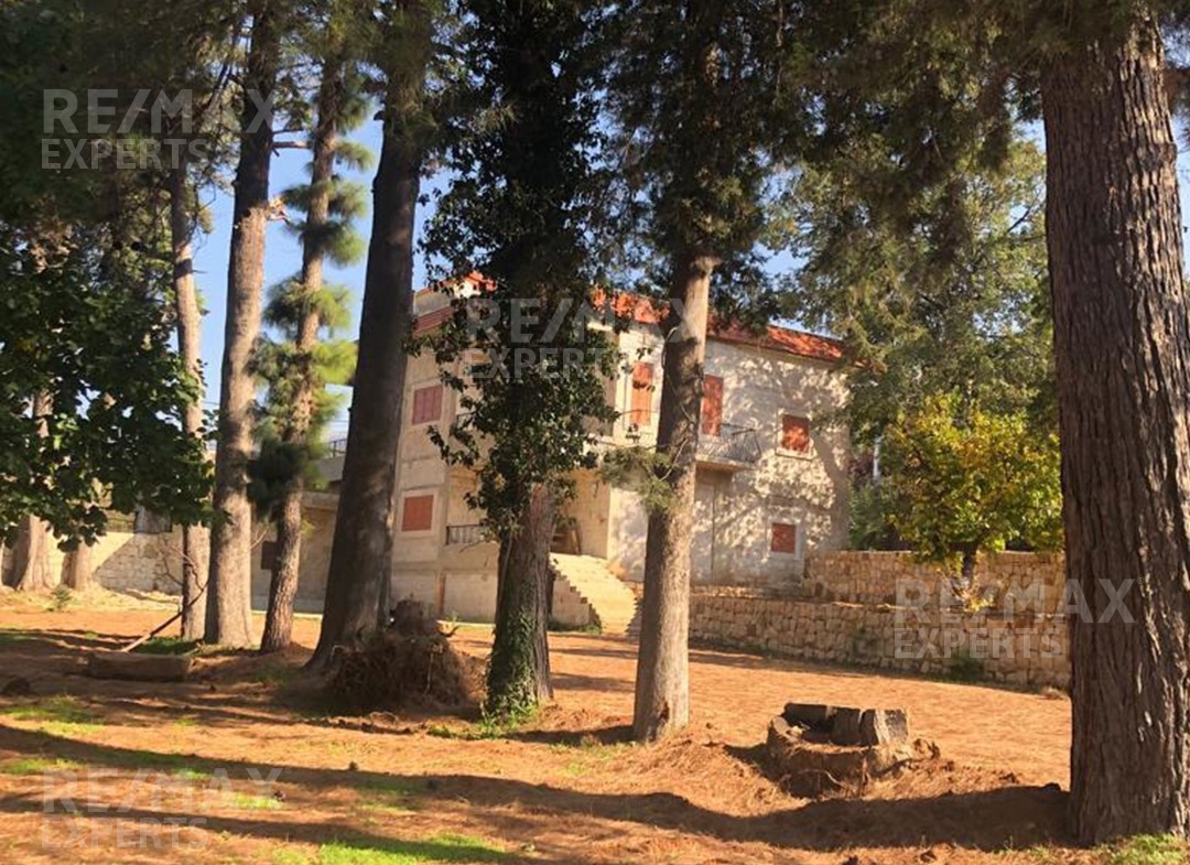 R9-138 Classic Lebanese house for sale in Dinniyeh — Photo 3 of 15