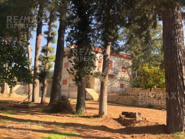 R9-138 Classic Lebanese house for sale in Dinniyeh — Photo 3 of 15