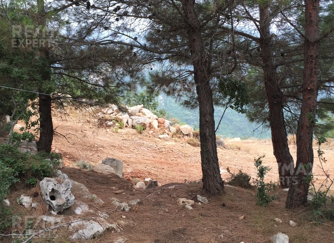 R9-322 Land for sale in Izal ! — Photo 2 of 6