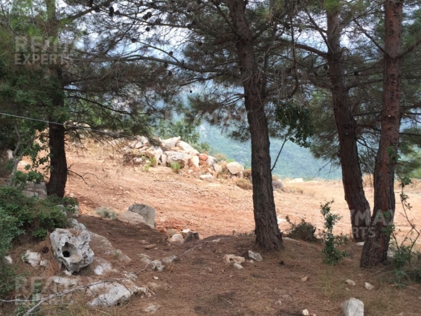 R9-322 Land for sale in Izal ! — Photo 2 of 6