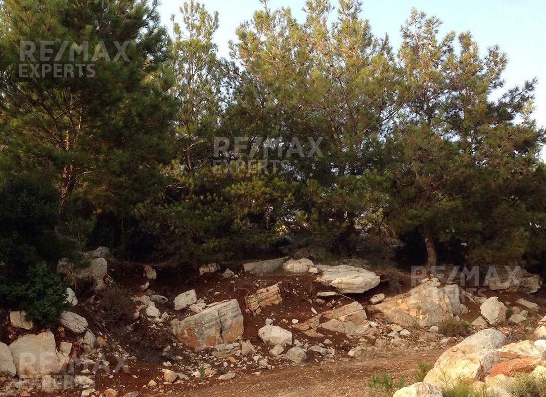 R9-322 Land for sale in Izal ! — Photo 3 of 6