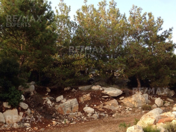 R9-322 Land for sale in Izal ! — Photo 3 of 6