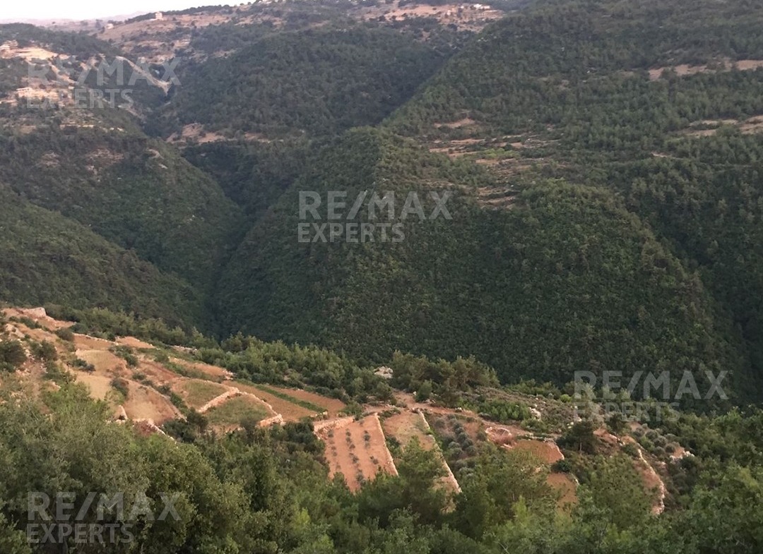 R9-322 Land for sale in Izal ! — Photo 4 of 6
