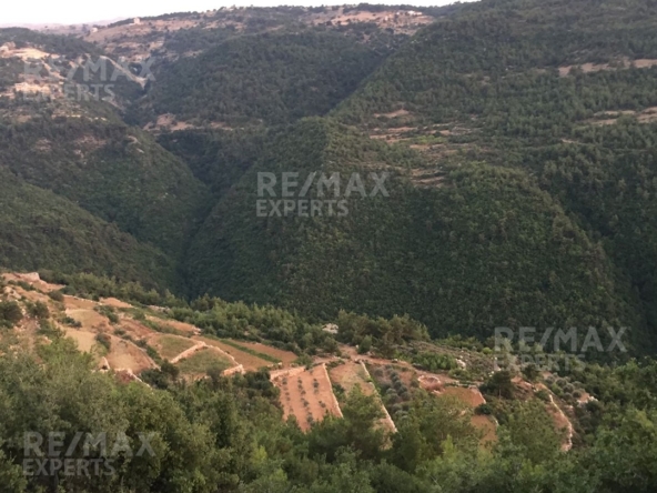 R9-322 Land for sale in Izal ! — Photo 4 of 6