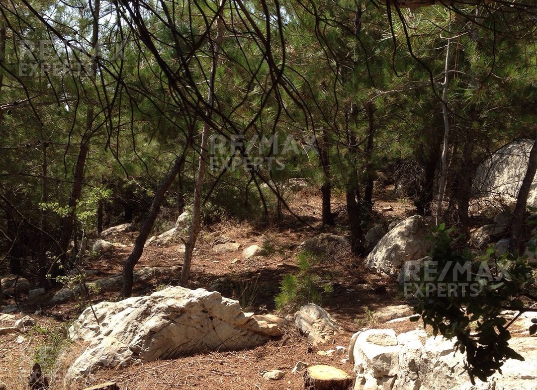 R9-322 Land for sale in Izal ! — Photo 5 of 6