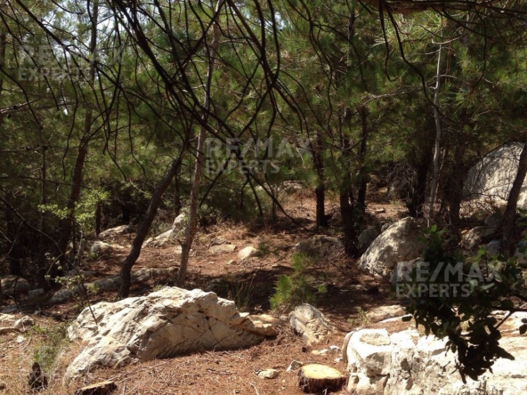 R9-322 Land for sale in Izal ! — Photo 5 of 6