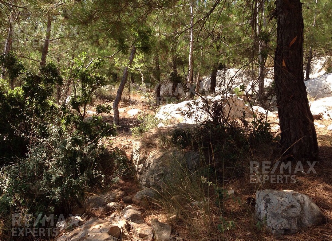 R9-322 Land for sale in Izal ! — Photo 6 of 6