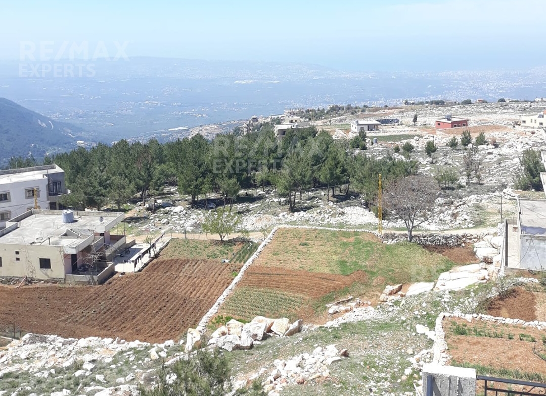 R9-326 Land for sale in Izal ! — الصورة 2 من 9