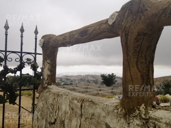 R9-326 Land for sale in Izal ! — الصورة 3 من 9