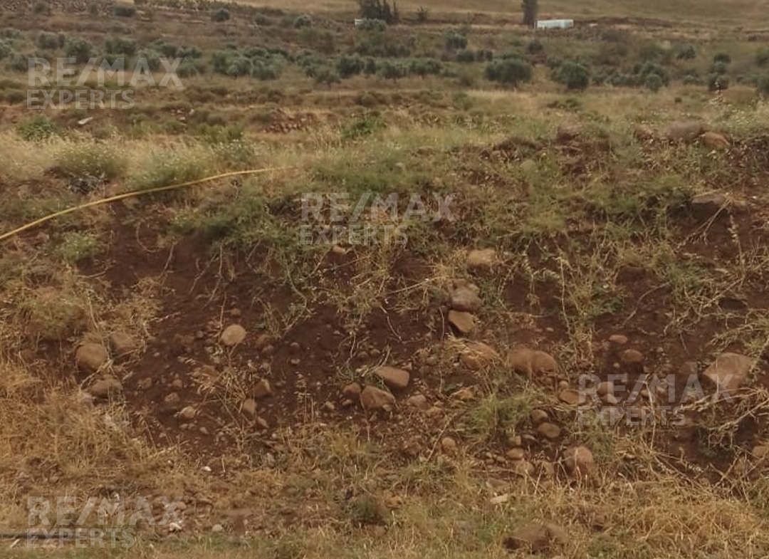 R9-367 Land for sale in Ghzayleh-Akkar!! — الصورة 3 من 5