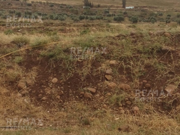 R9-367 Land for sale in Ghzayleh-Akkar!! — الصورة 3 من 5