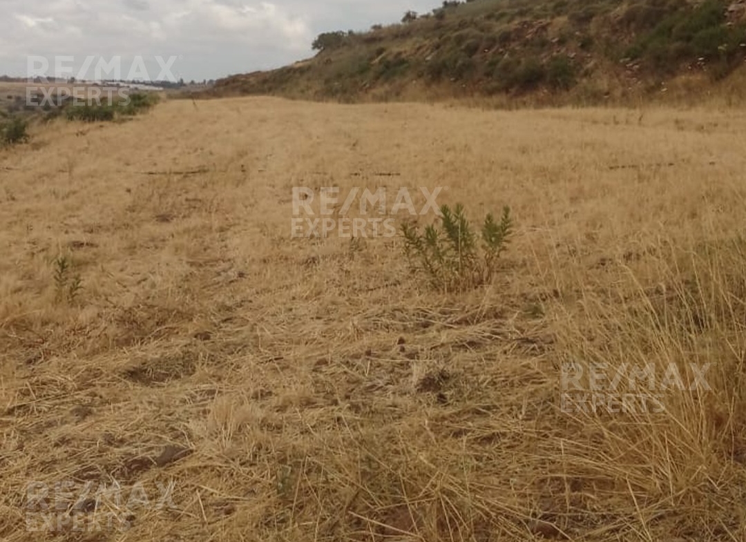 R9-367 Land for sale in Ghzayleh-Akkar!! — الصورة 4 من 5