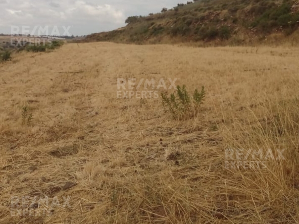 R9-367 Land for sale in Ghzayleh-Akkar!! — الصورة 4 من 5
